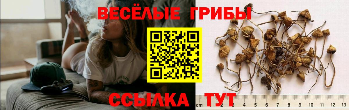 Псилоцибиновые грибы мухоморы  Вход с VPN  Омск 